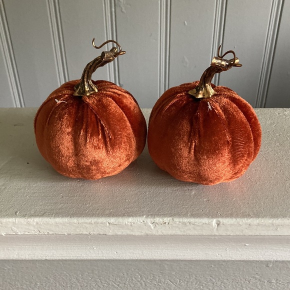 Set of 2- Beautiful Orange Velvet Pumpkins- Fall Holiday Decorations - Picture 8 of 17